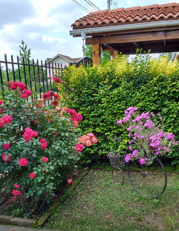 سانتا كروز Casa Roble Anejo Bed & Breakfast المظهر الخارجي الصورة